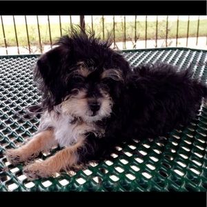 Meet your Posher, Steven